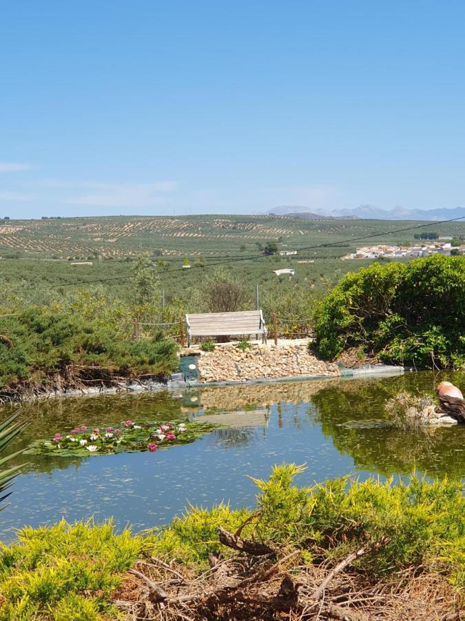 Casa Olivar B&B Tocon Luaran gambar