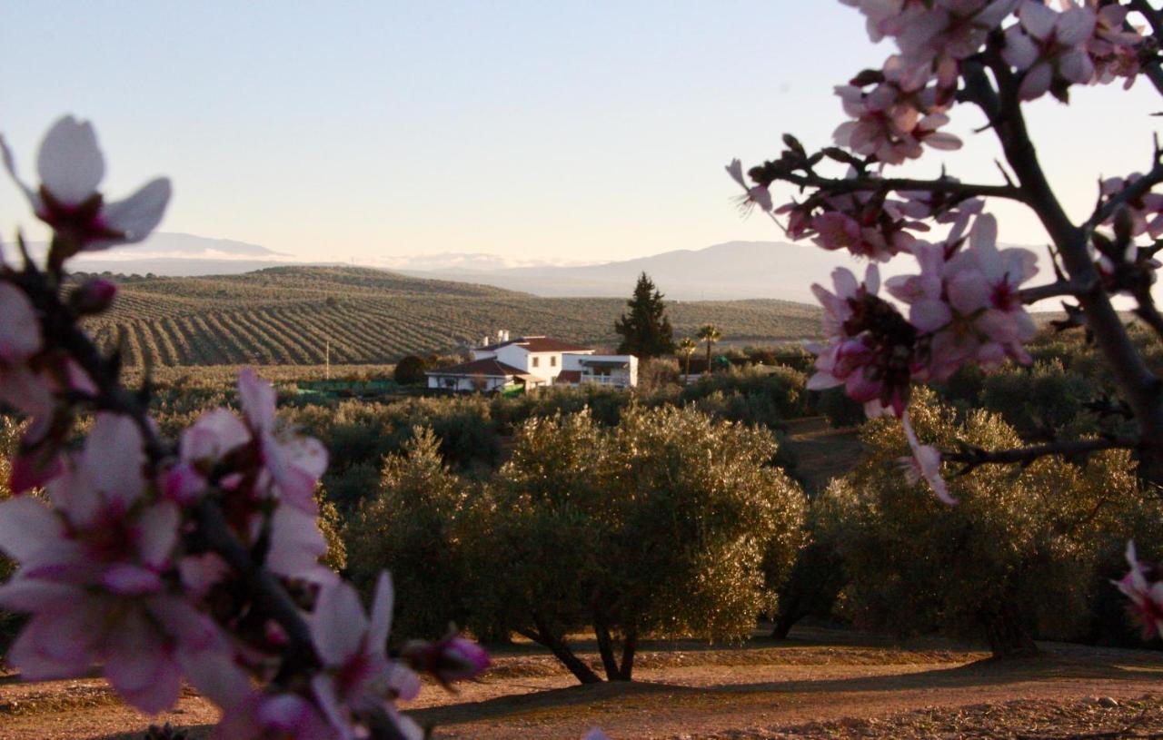 Casa Olivar B&B Tocon Luaran gambar