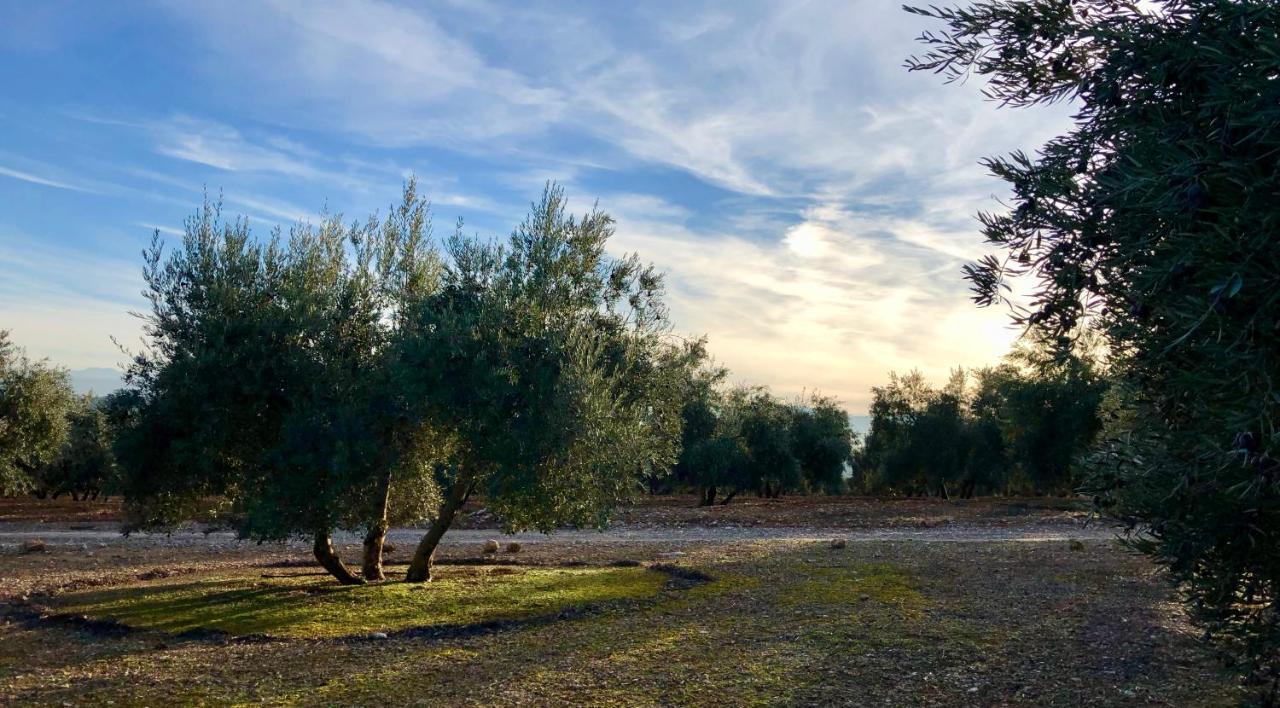 Casa Olivar B&B Tocon Luaran gambar