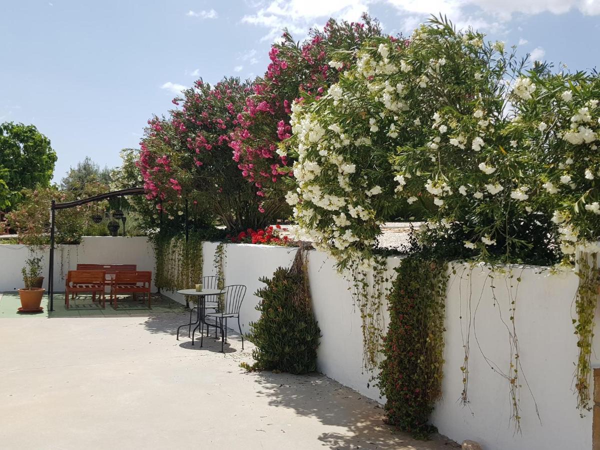 Casa Olivar B&B Tocon Luaran gambar